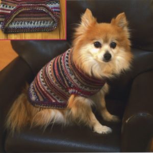 dog in sweater